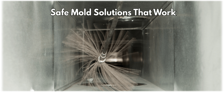 Air Duct Mold Removal in Lewisville TX