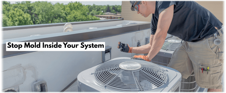 HVAC Mold Removal Lewisville TX